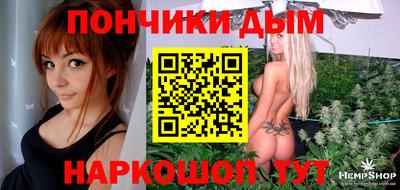 индика Ирбит