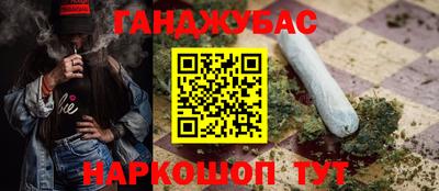 индика Ирбит