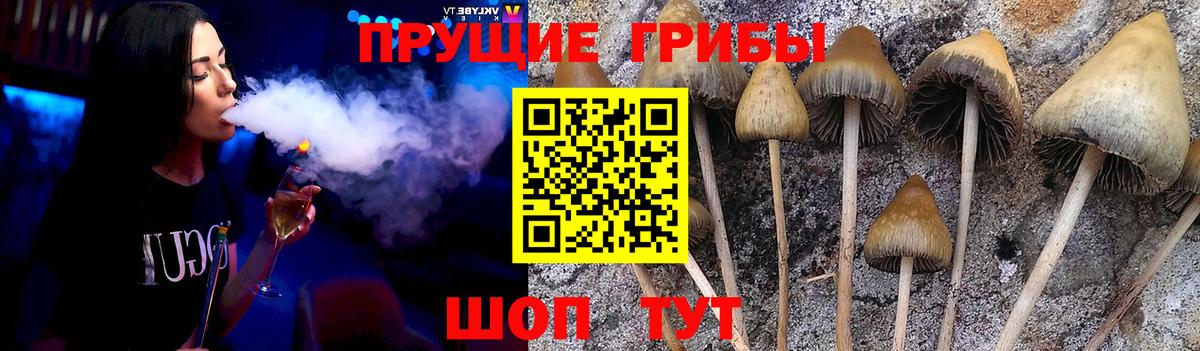 Псилоцибиновые грибы мицелий Лыткарино